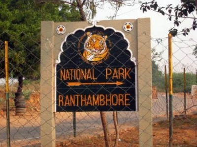ranthambore national park