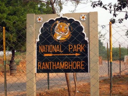 ranthambore national park